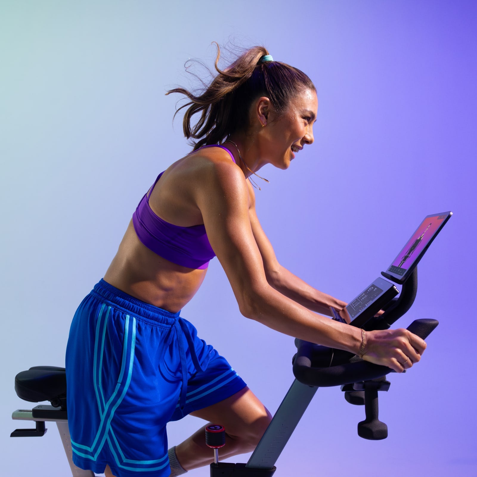 BOWFLEX IC SEi SPINNING BIKE ic se i