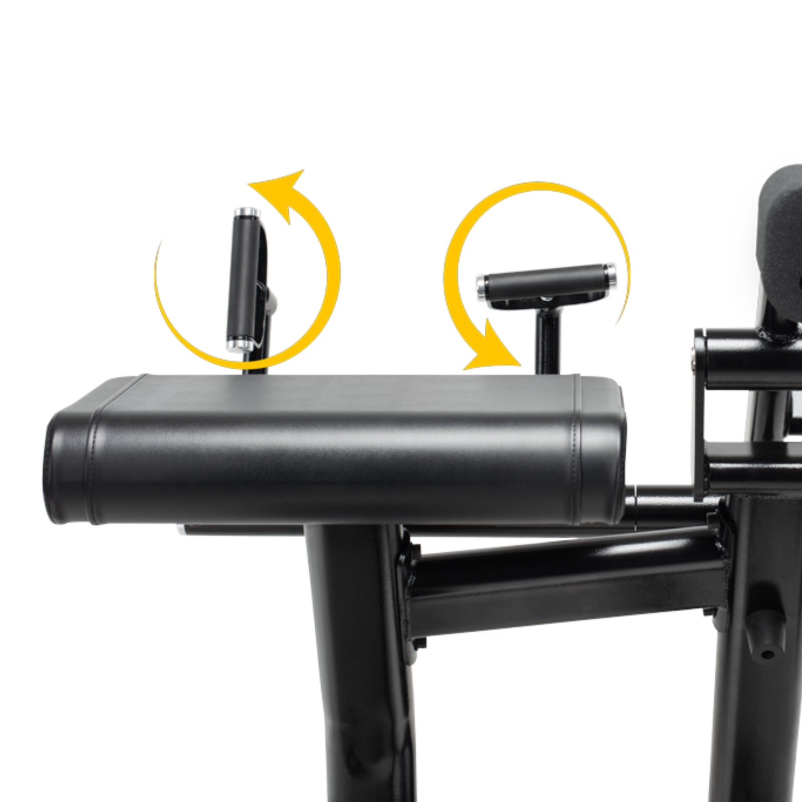 Freemotion ES810 Maszyna na biceps