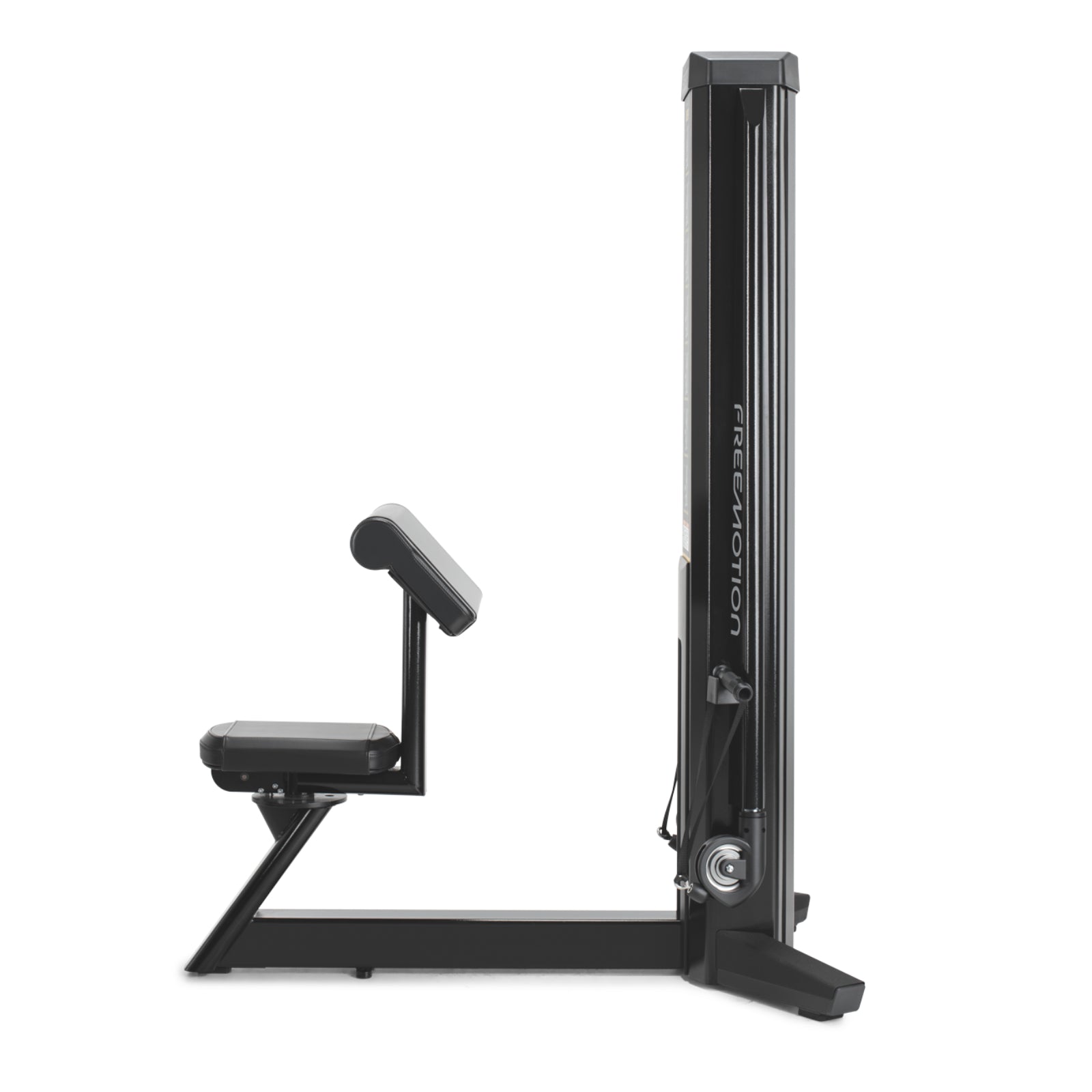 Freemotion G602 Bicep Machine
