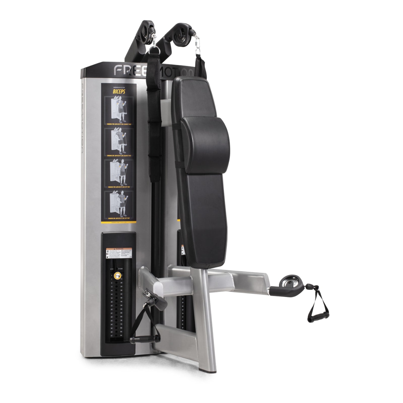 Freemotion GD501 Maszyna do treningu mięśni brzucha i bicepsów