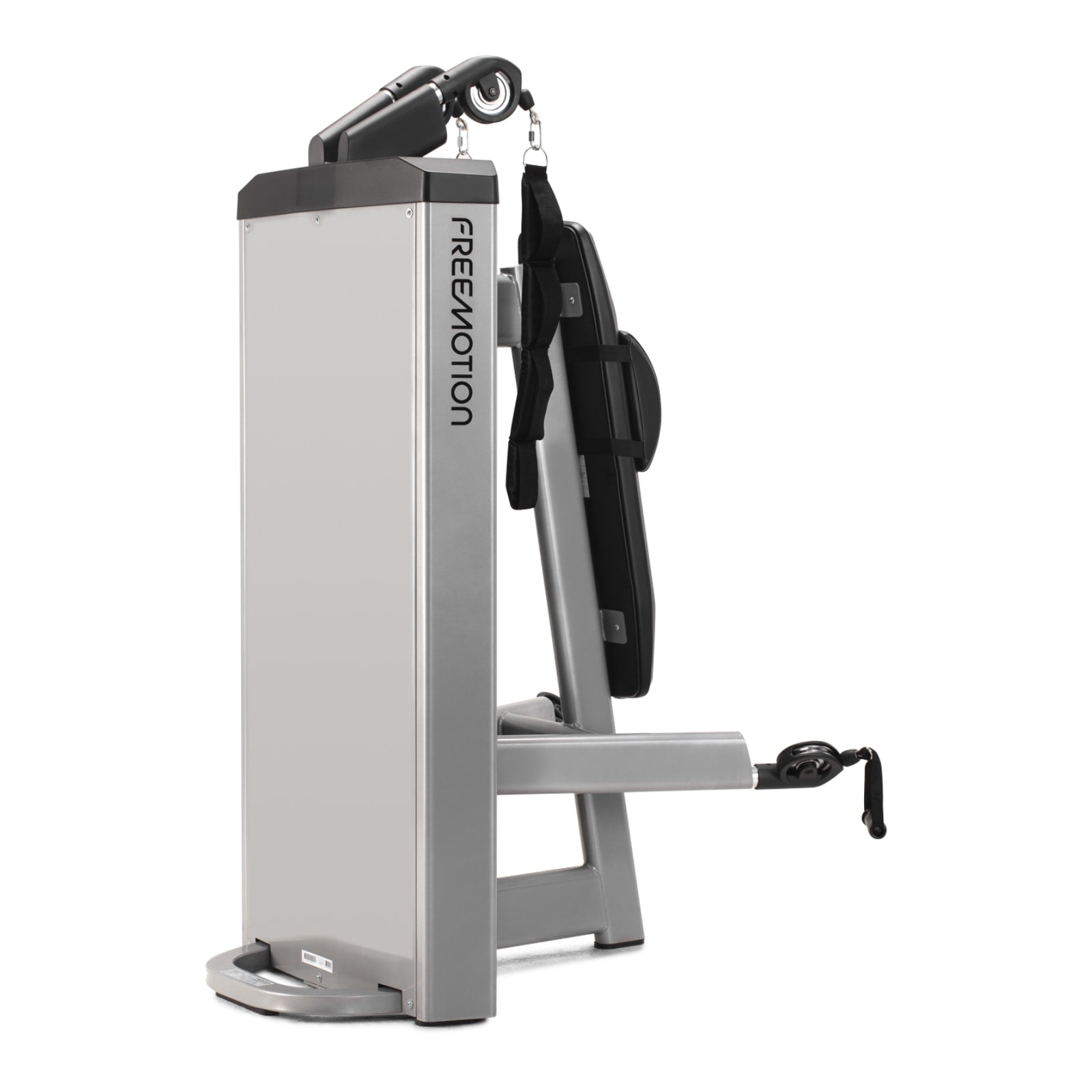 Freemotion GD501 Maszyna do treningu mięśni brzucha i bicepsów