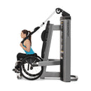 Freemotion GD501 Maszyna do treningu mięśni brzucha i bicepsów