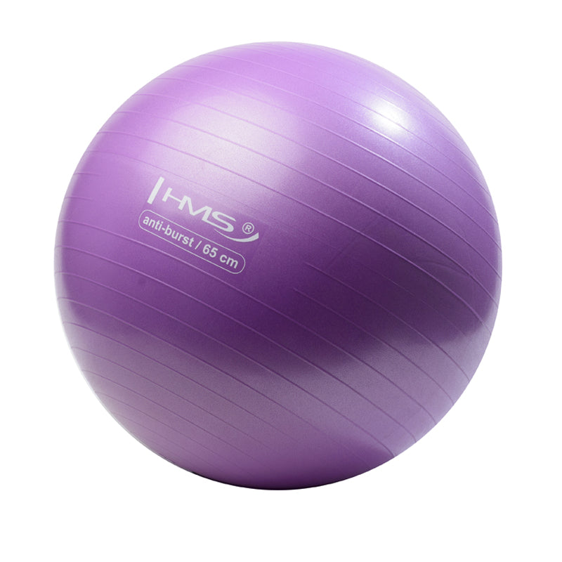 YB02 NOVÝ 65CM FIALOVÝ PROTIPRUŽNÝ GYMNASTICKÝ MÍČ HMS