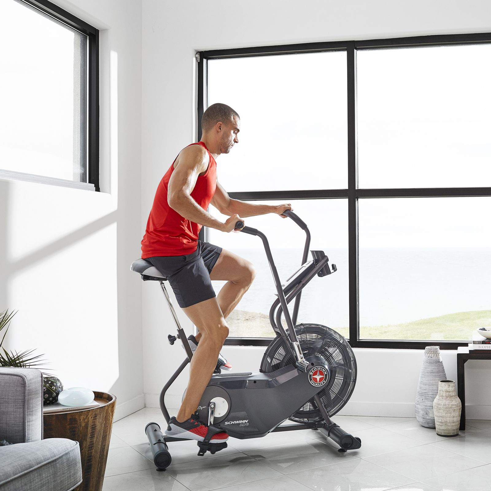 Horské kolo SCHWINN AIRDYNE AD6i