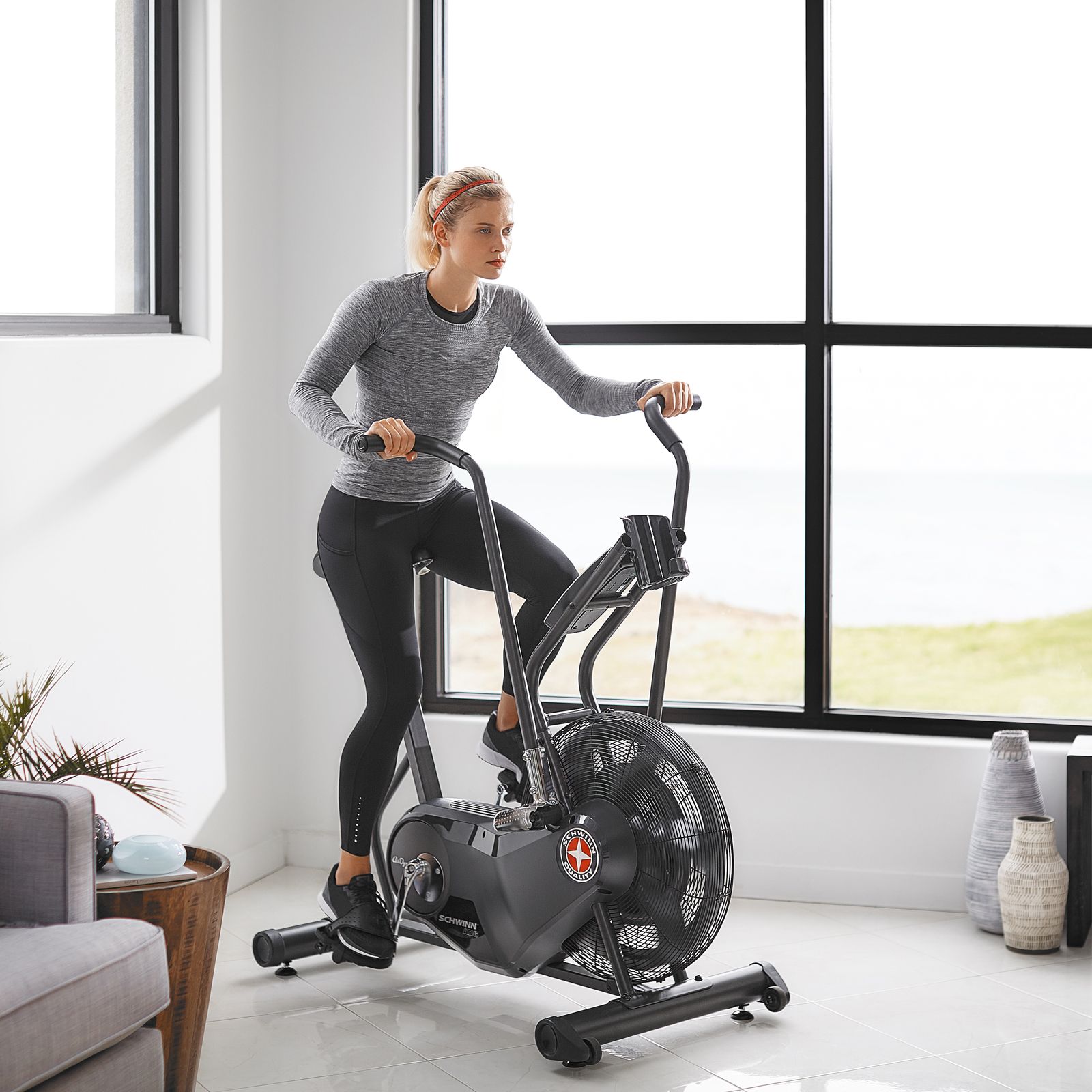 Horské kolo SCHWINN AIRDYNE AD6i