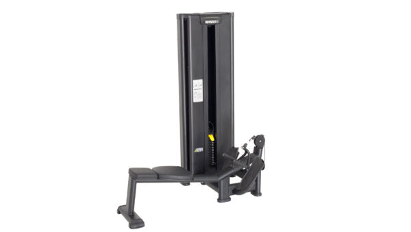 Master Sport Bio Motion BMM 22 Machine | Lower Pull-Up