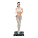 Flow Fitness DTM100i Walking Treadmill