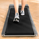 Flow Fitness DTM100i Walking Treadmill