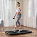 Flow Fitness DTM200i Walking Treadmill