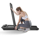 Flow Fitness DTM200i Walking Treadmill