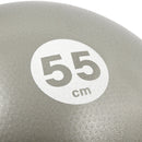 REEBOK GYMNASTIC BALL 55 CM GREY RAB-40015BK
