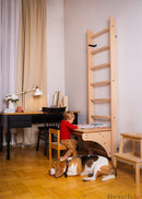 Drabinka gimnastyczna BenchK 111 z biurkiem