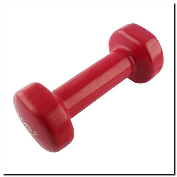 17023 VINYL CAST IRON WEIGHT 2.0 KG HMS