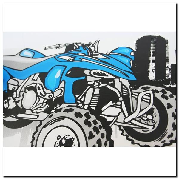 CR3108SB RYCHLOSTNÍ SKATEBOARD NILS EXTREME