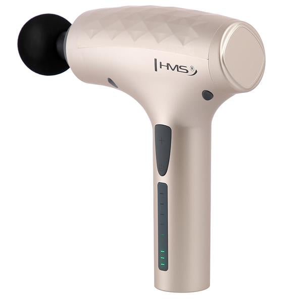 PDM3134 GOLD MASSAGE GUN HMS