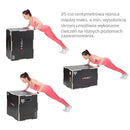 DSC02 REINFORCED PLYOMETRIC BOX 750x600x500MM HMS