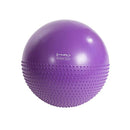 YB03 55CM PURPLE GYMNASTIC MASSAGE BALL HMS