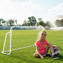 BR8150 GOAL WITH NET NILS