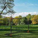 BR8180 GOAL WITH NET NILS