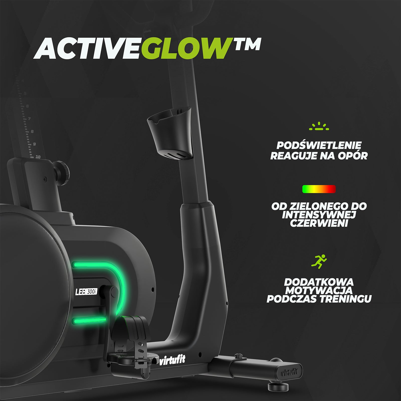 VIRTUFIT ROWER TRENINGOWY LEB300i