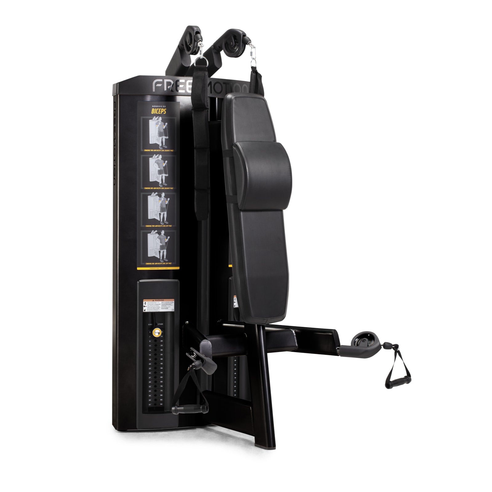 Freemotion GD501 Maszyna do treningu mięśni brzucha i bicepsów
