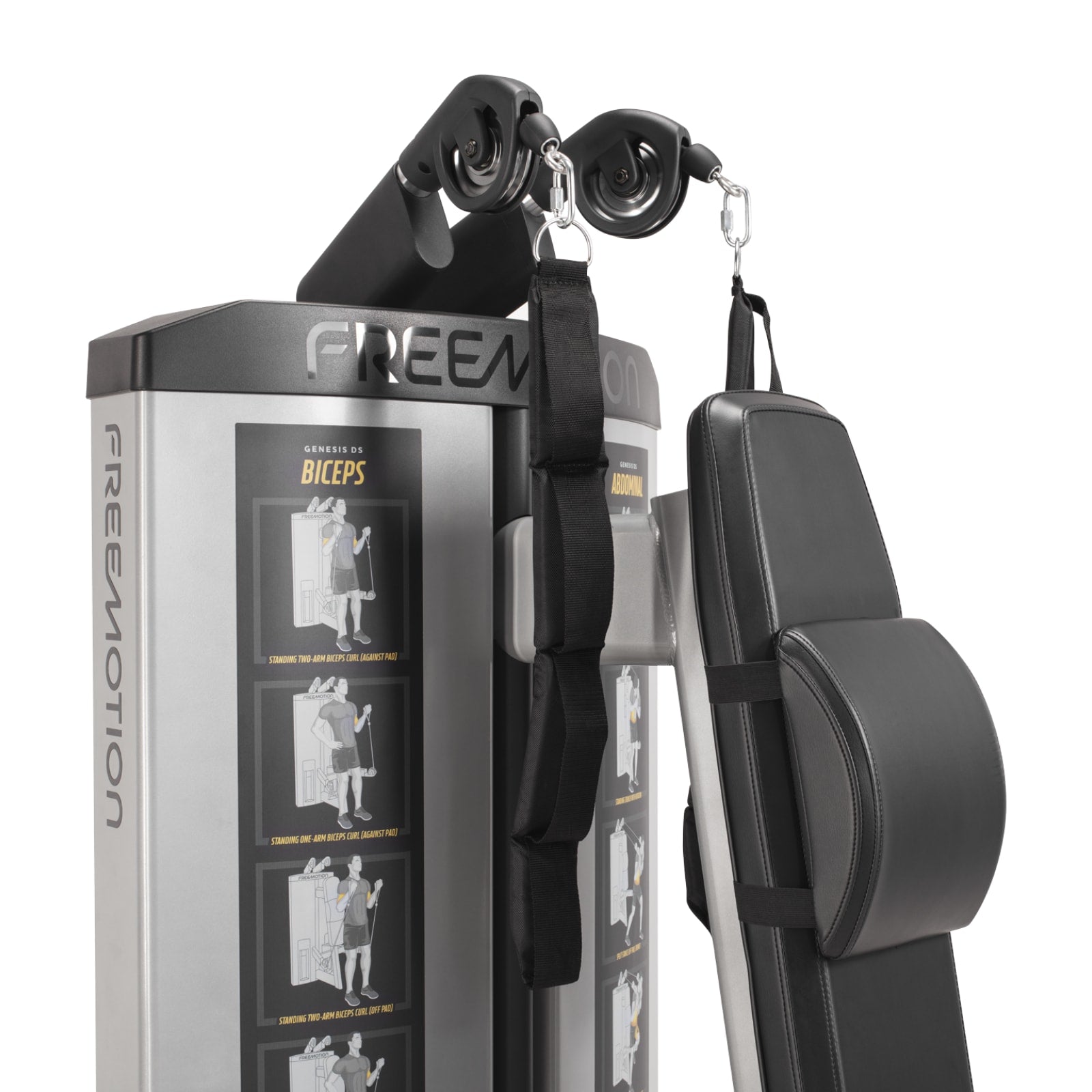 Freemotion GD501 Maszyna do treningu mięśni brzucha i bicepsów