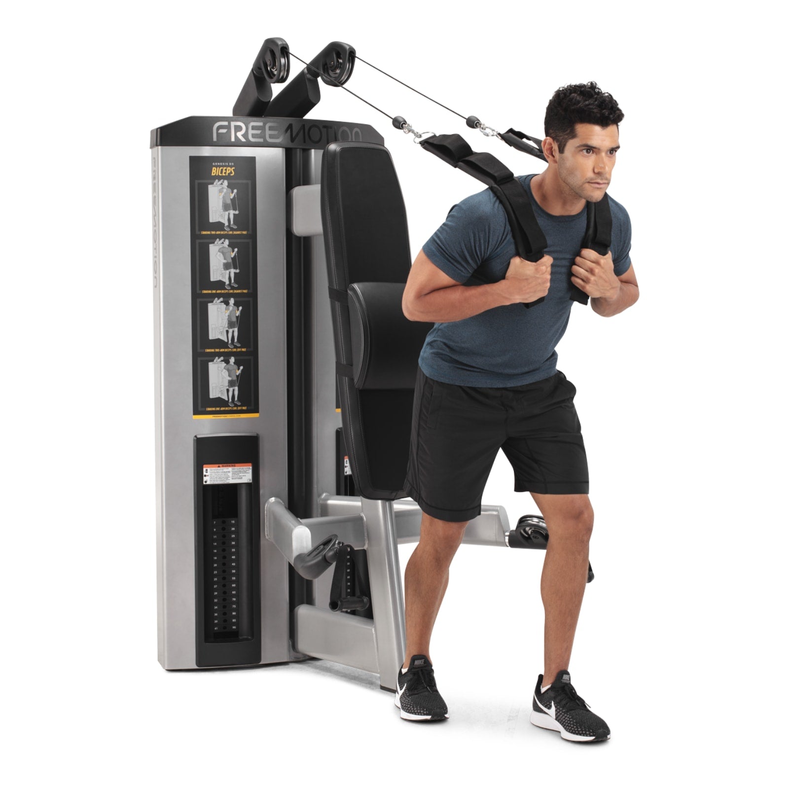 Freemotion GD501 Maszyna do treningu mięśni brzucha i bicepsów