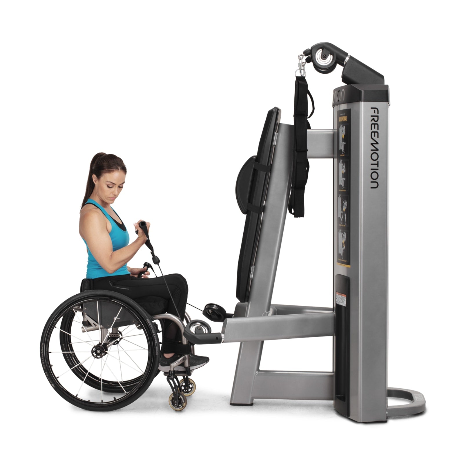 Freemotion GD501 Maszyna do treningu mięśni brzucha i bicepsów