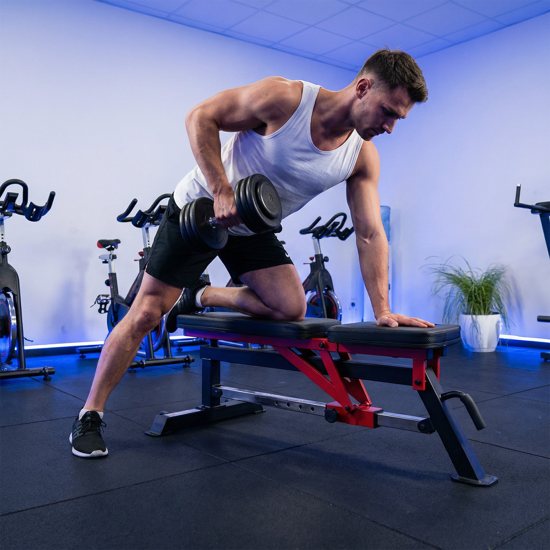 HMS L5166 Regulowana ławka do ćwiczeń Semi Commercial