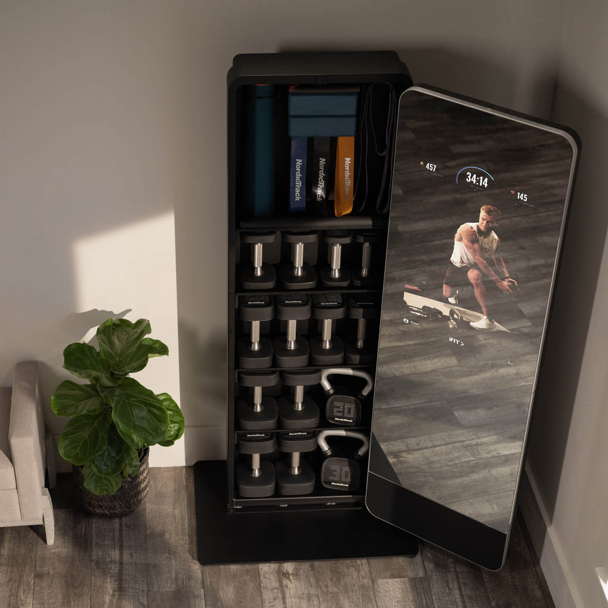 Home Gym Nordictrack Mirror Vault Cost NORDICTRACK FITNESS VAULT