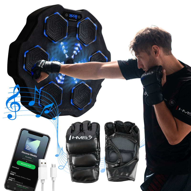 TB02 ELECTRONIC BLUETOOTH BOXING TARGET WITH MUSIC AND HMS GLOVES