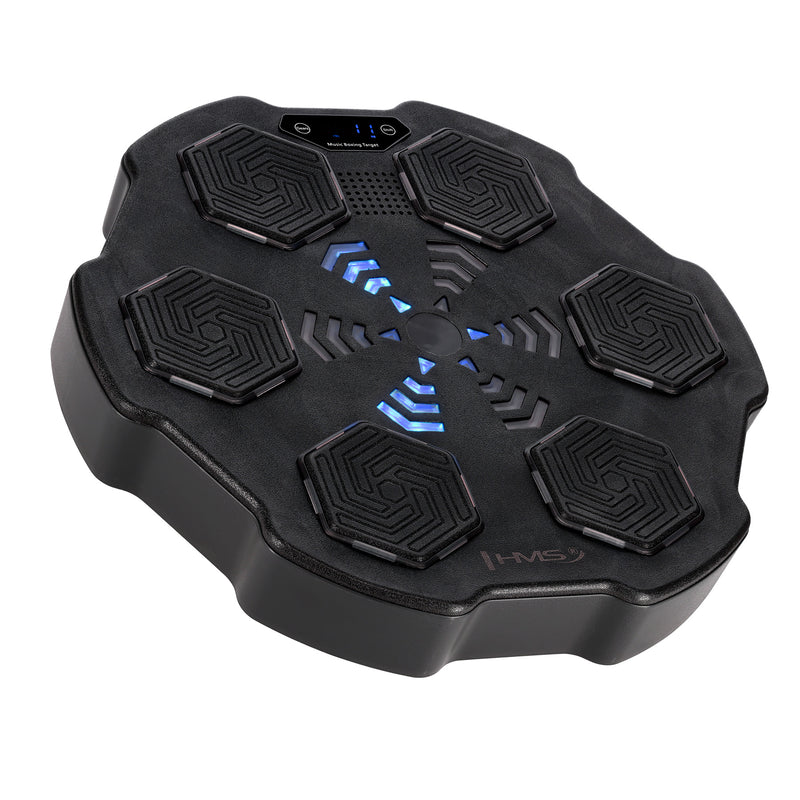 TB02 ELECTRONIC BLUETOOTH BOXING TARGET WITH MUSIC AND HMS GLOVES