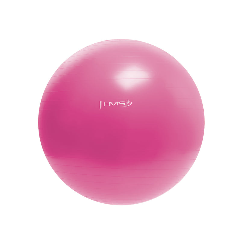 YB01 NEW 55CM PINK GYMNASTIC BALL HMS