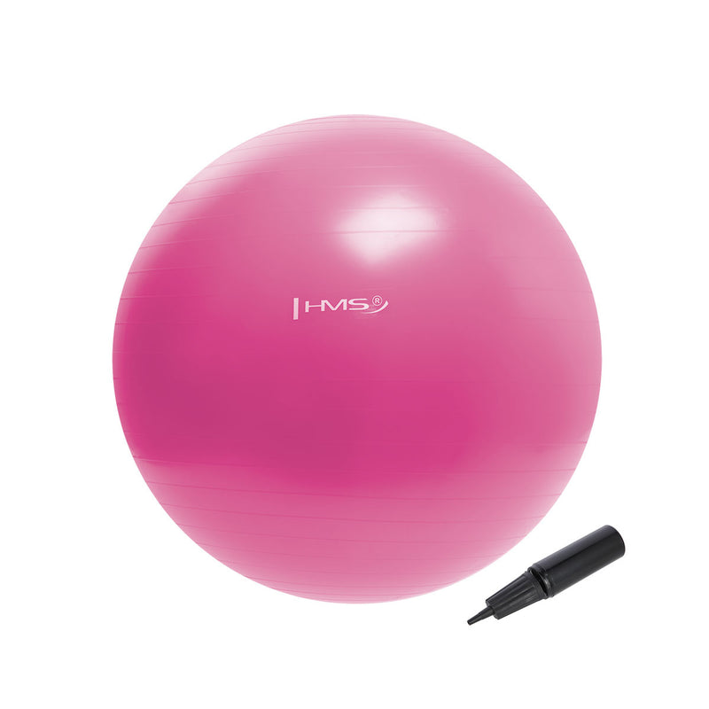 YB01 NEW 55CM PINK GYMNASTIC BALL HMS