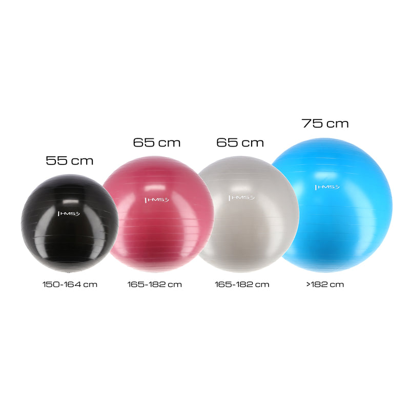 YB01 NEW 65CM PLUM GYMNASTIC BALL HMS