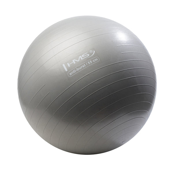 YB02 NEW 55CM GRAPHITE ANTI-BURST GYMNASTIC BALL HMS