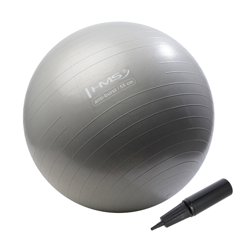 YB02 NEW 55CM GRAPHITE ANTI-BURST GYMNASTIC BALL HMS