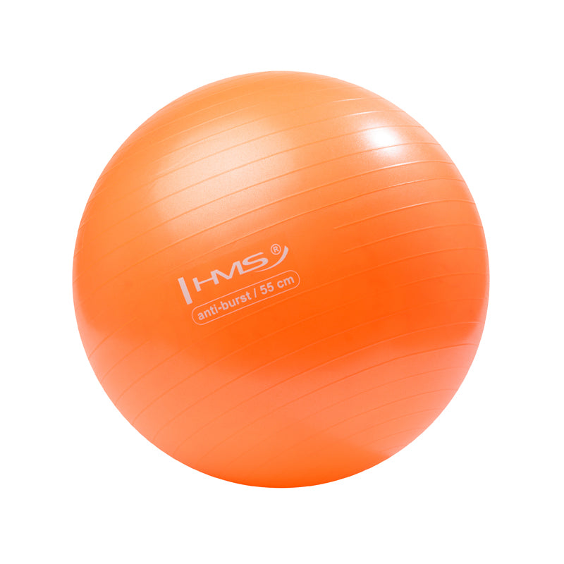 YB02 NEW 55CM ORANGE ANTI-BURST GYMNASTIC BALL HMS