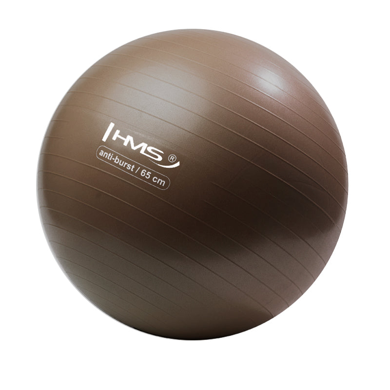 YB02 NEW 65CM GRIZZLY ANTI-BURST BROWN GYM BALL HMS