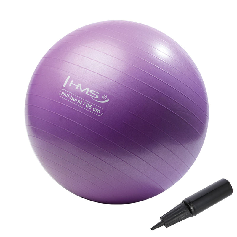 YB02 NEW 65CM PURPLE ANTI-BURST GYMNASTIC BALL HMS