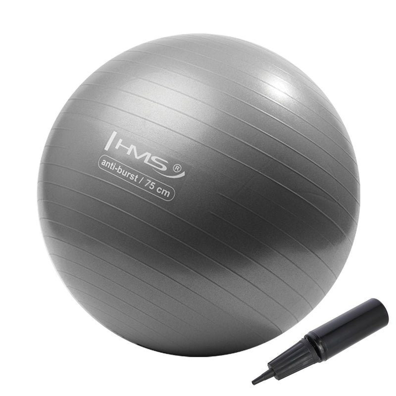 YB02 NEW 75CM GRAY ANTI-BURST GYMNASTIC BALL HMS