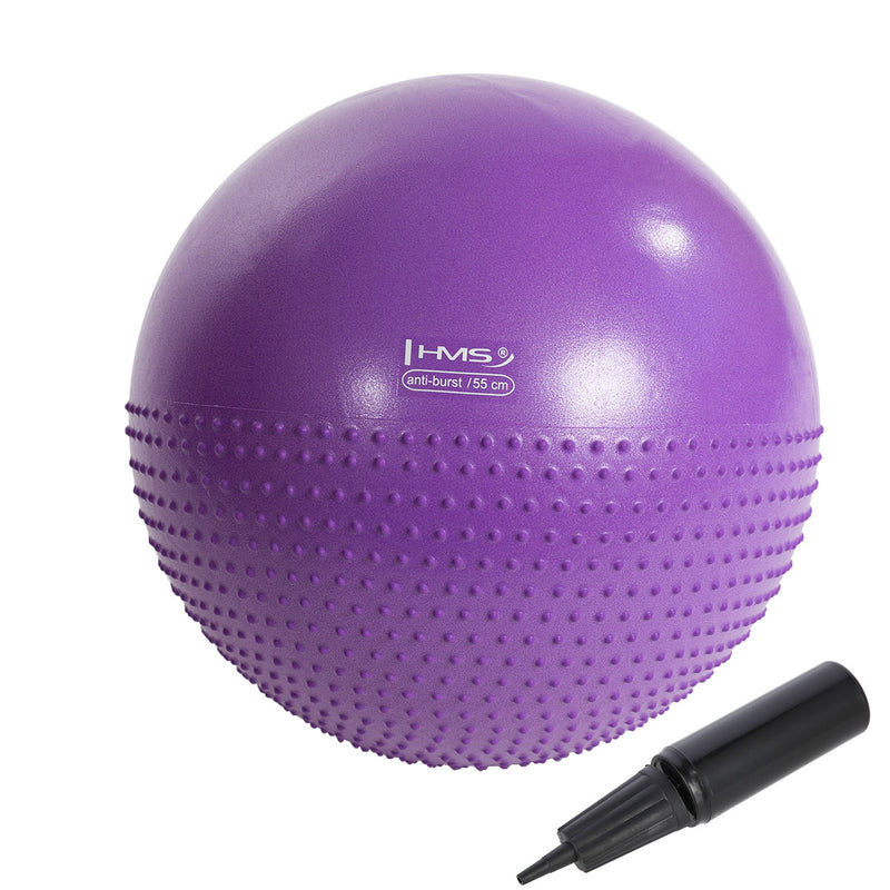 YB03 NEW 55CM VIOLET GYMNASTIC MASSAGE BALL HMS