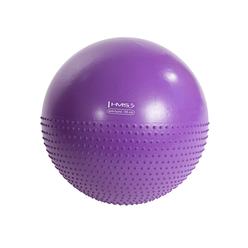 YB03 NEW 55CM VIOLET GYMNASTIC MASSAGE BALL HMS