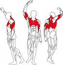 Upper Body Exercise Machine Assisted Kneeling Dip L450 BH Fitness