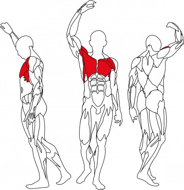 Maszyna do ćwiczeń mięśni klatki piersiowej Rear Deltoid L410 BH Fitness