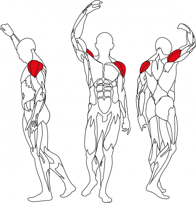 Maszyna do ćwiczeń mięśni naramiennych Deltoid Raise L490 BH Fitness