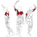 Barbell Squat Rack L845 BH Fitness