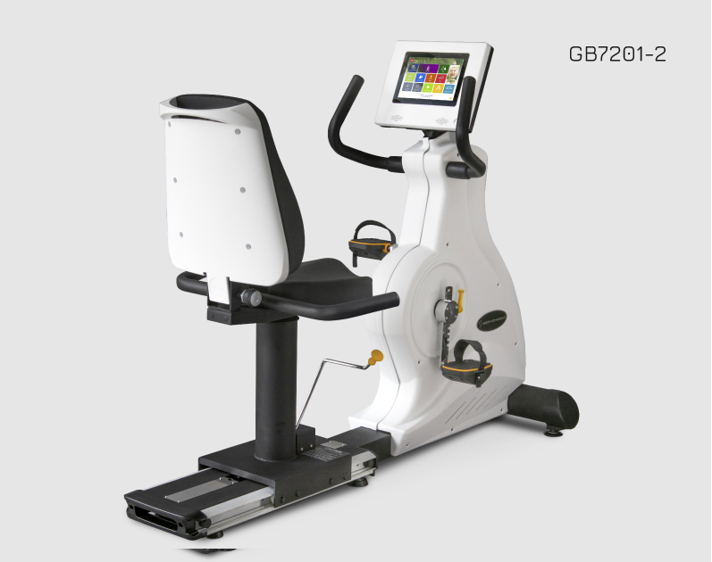Rower Poziomy GB7201 TFT 10,1" Body Charger