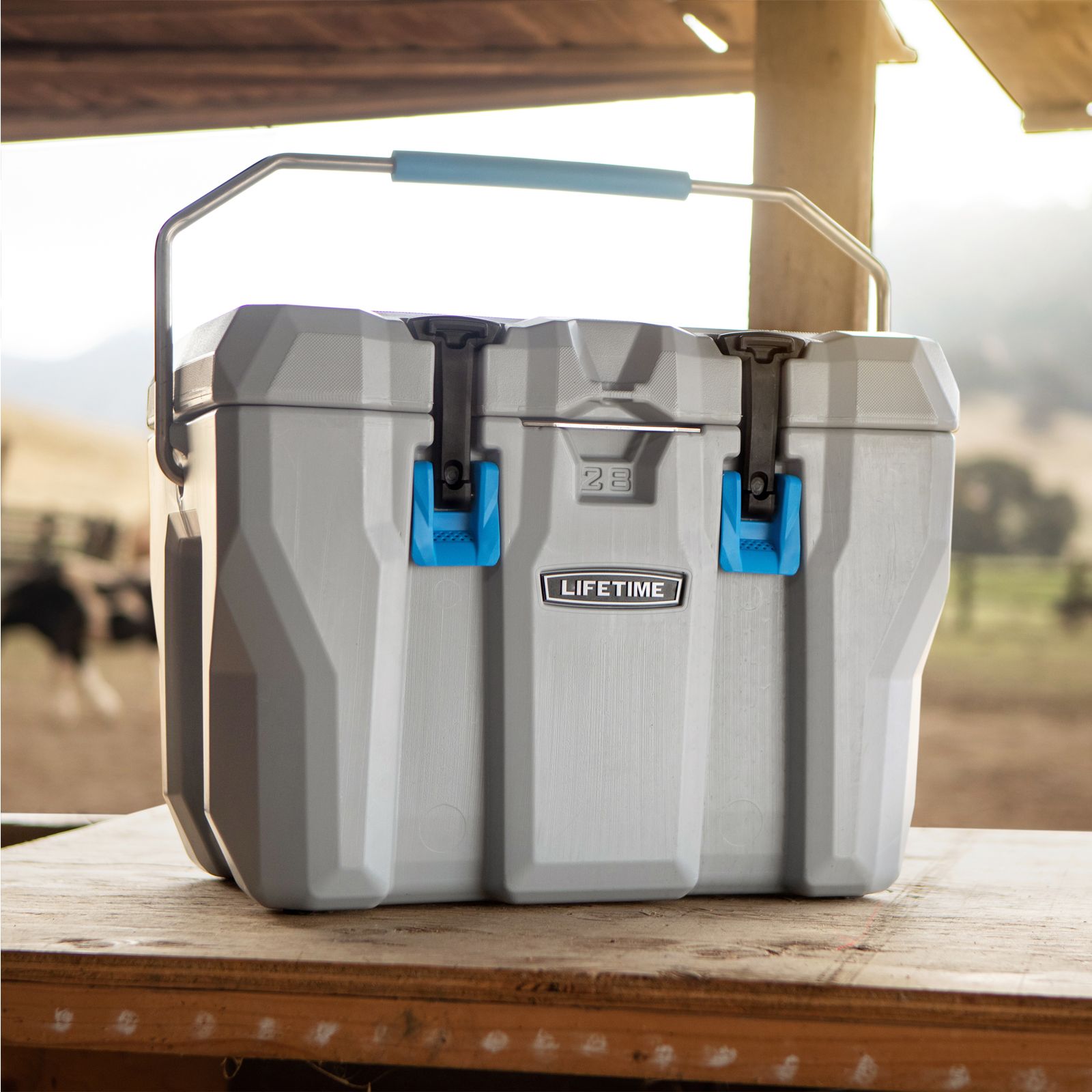 LIFETIME TRAVEL COOLER 26.5 L