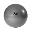 ADIDAS GYMNASTIC BALL 75 CM GREY ADBL-13247GR